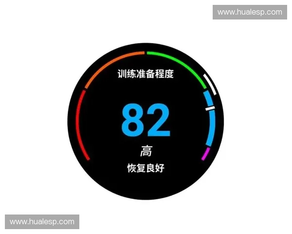 以心率带控制为中心的智能运动健康监测与训练管理系统创新研究