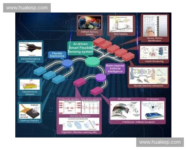 以运动算法为核心驱动的智能训练与性能优化创新体系研究方法论探索