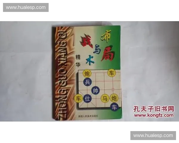 核心战术引领下的全局布局与实战应用策略解析