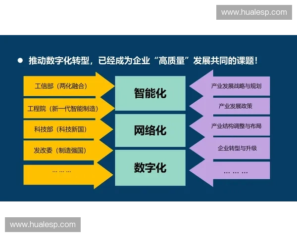 数字化转型背景下体育市场学驱动赛事品牌价值提升与消费行为研究 数字化转型背景下体育市场学驱动赛事品牌价值提升与消费行为研究